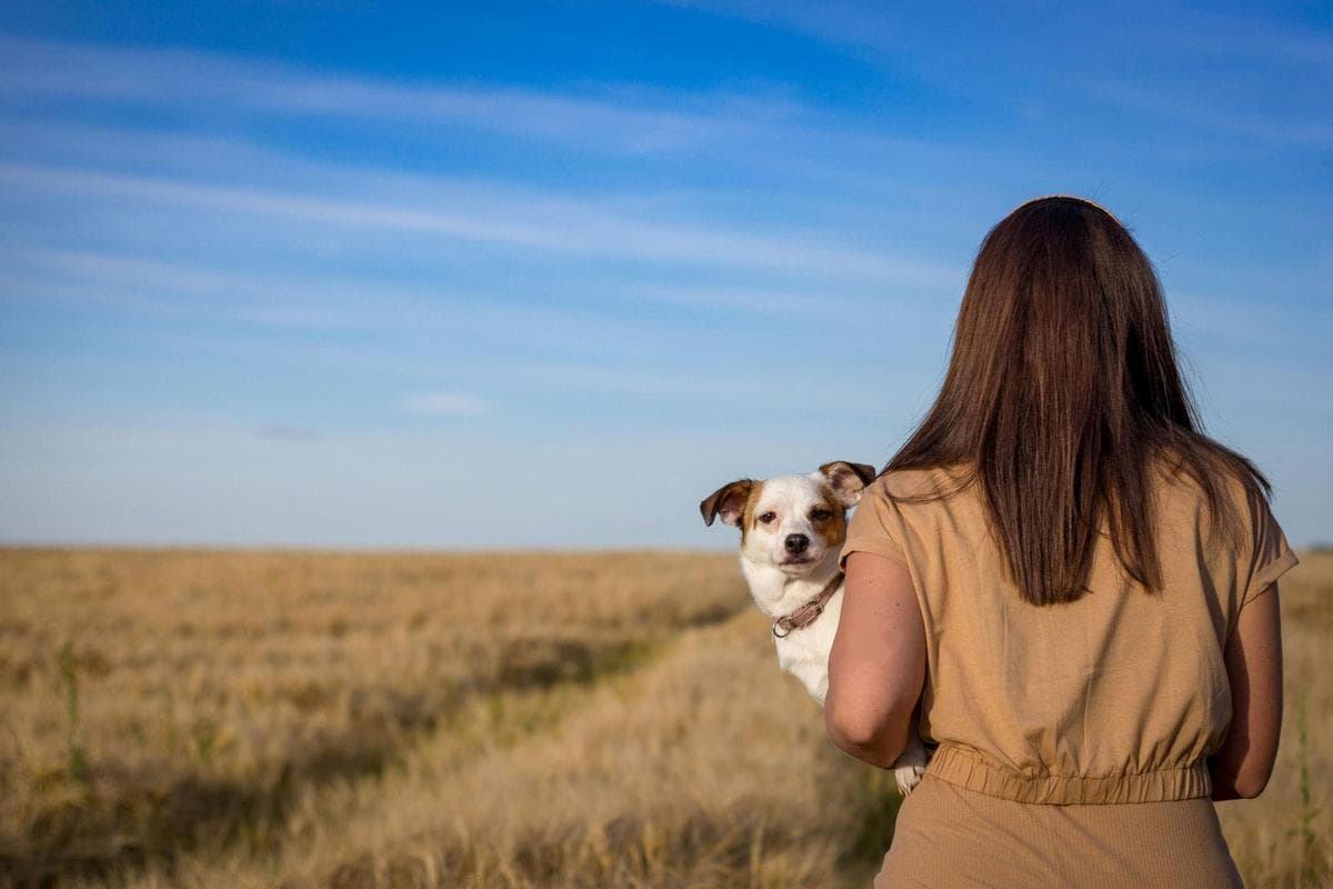 A woman walking through a sunlit field carrying her small dog over her shoulder